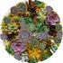 Succulents White 16" Round Pebble Placemat Set of 4 - nicolettemayer.com