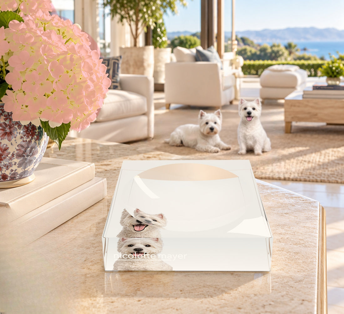 Westie Dog Acrylic Candy Catchall Dish, on a coffee table, by Nicolette Mayer