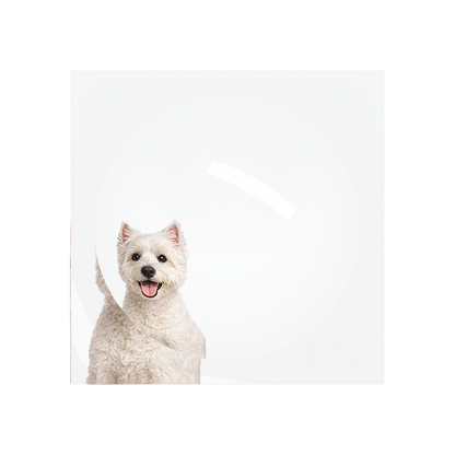 Westie Dog Acrylic Candy Catchall Dish, overhead, by Nicolette Mayer