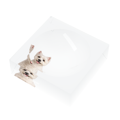 Westie Dog Acrylic Candy Catchall Dish, right three-quarter, by Nicolette Mayer