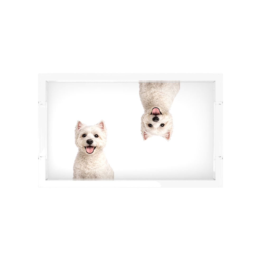 Westie Dog Acrylic Rectangle Tray, overhead, by Nicolette Mayer
