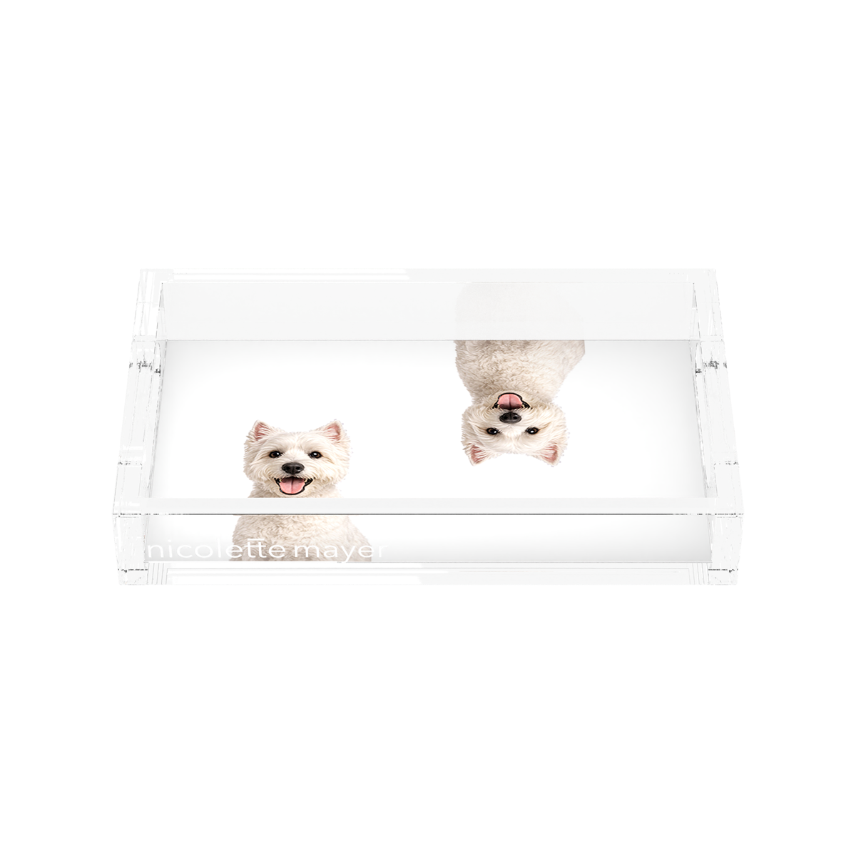 Westie Dog Acrylic Rectangle Tray, front, by Nicolette Mayer