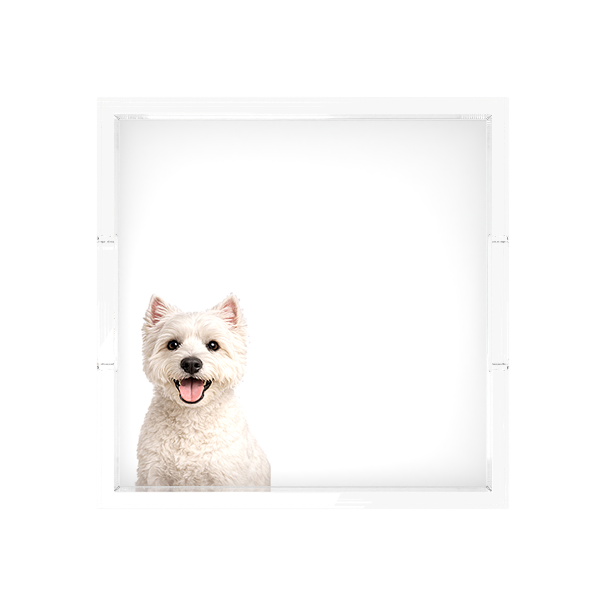 Westie Dog Acrylic Decorative Tray, overhead, by Nicolette Mayer