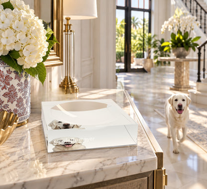White Lab Dog Acrylic Candy Catchall Dish, on an entry console, by Nicolette Mayer