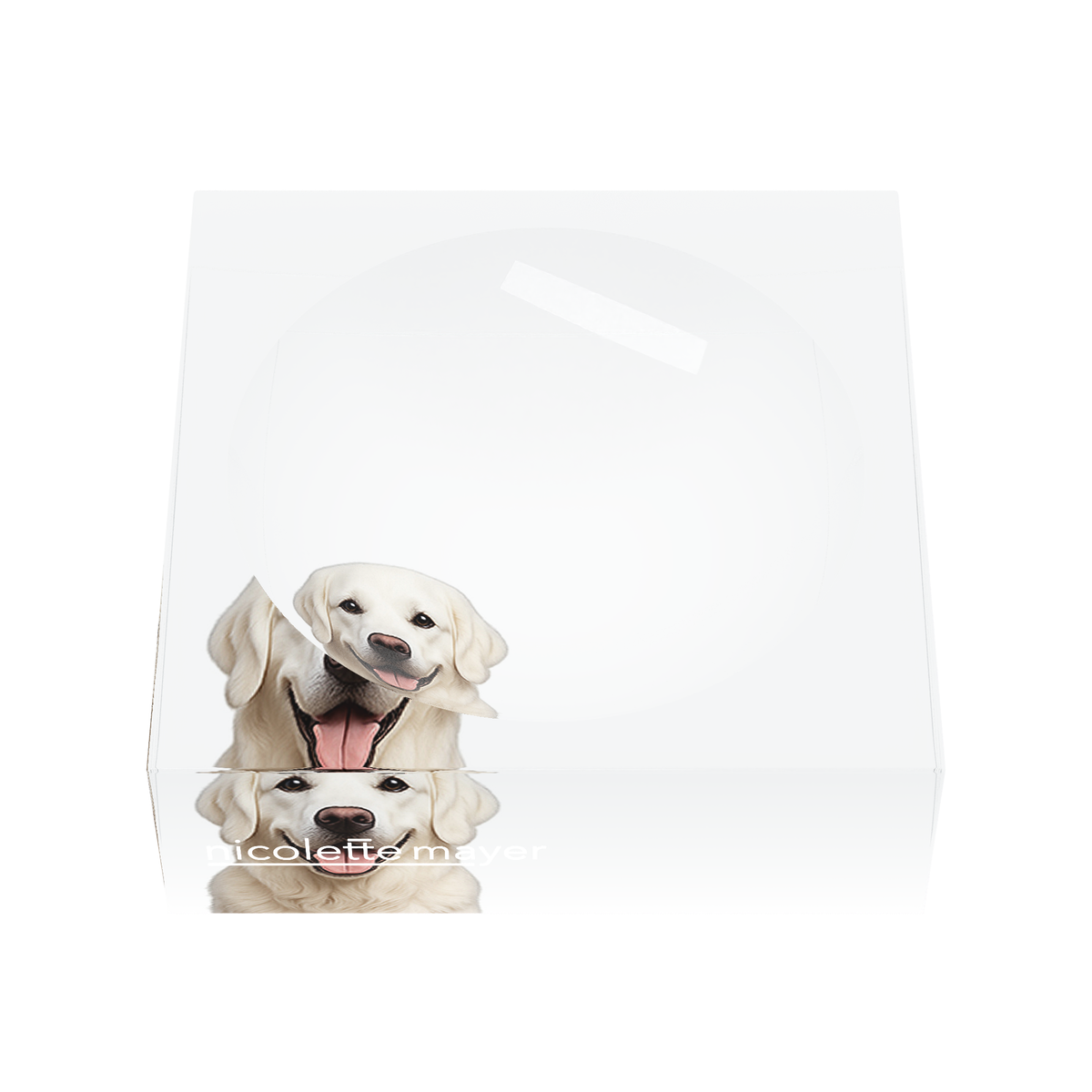 White Lab Dog Acrylic Candy Catchall Dish, front, by Nicolette Mayer