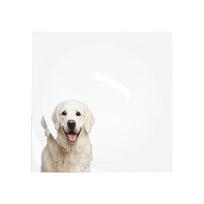 White Lab Dog Acrylic Candy Catchall Dish, overhead, by Nicolette Mayer