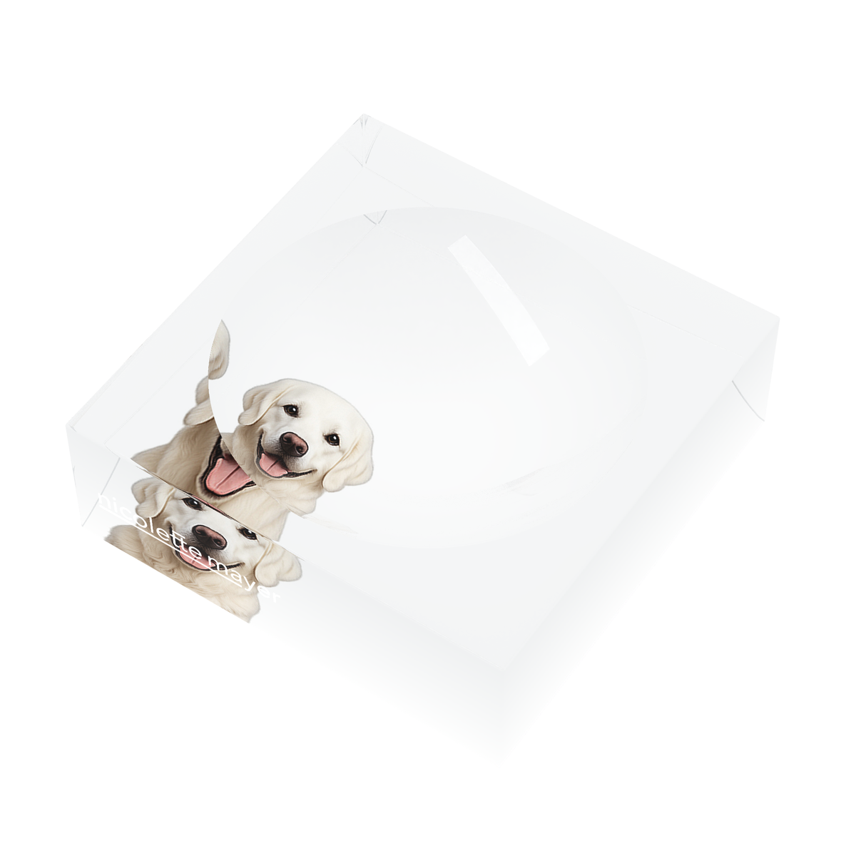White Lab Dog Acrylic Candy Catchall Dish, right three-quarter, by Nicolette Mayer