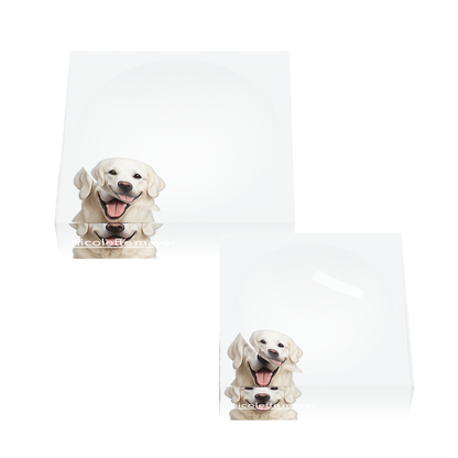 White Lab Dog Acrylic Candy Catchall Dish, set of two, by Nicolette Mayer