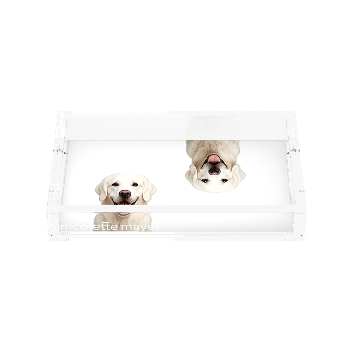 White Lab Dog Acrylic Rectangle Tray, front, by Nicolette Mayer