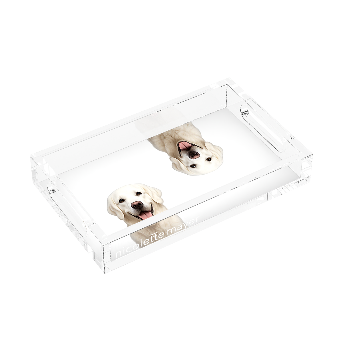 White Lab Dog Acrylic Rectangle Tray, left three-quarter, by Nicolette Mayer