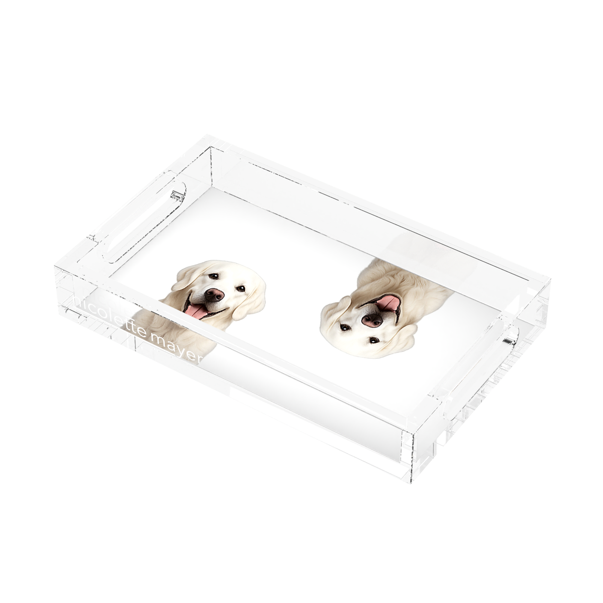 White Lab Dog Acrylic Rectangle Tray, right three-quarter, by Nicolette Mayer