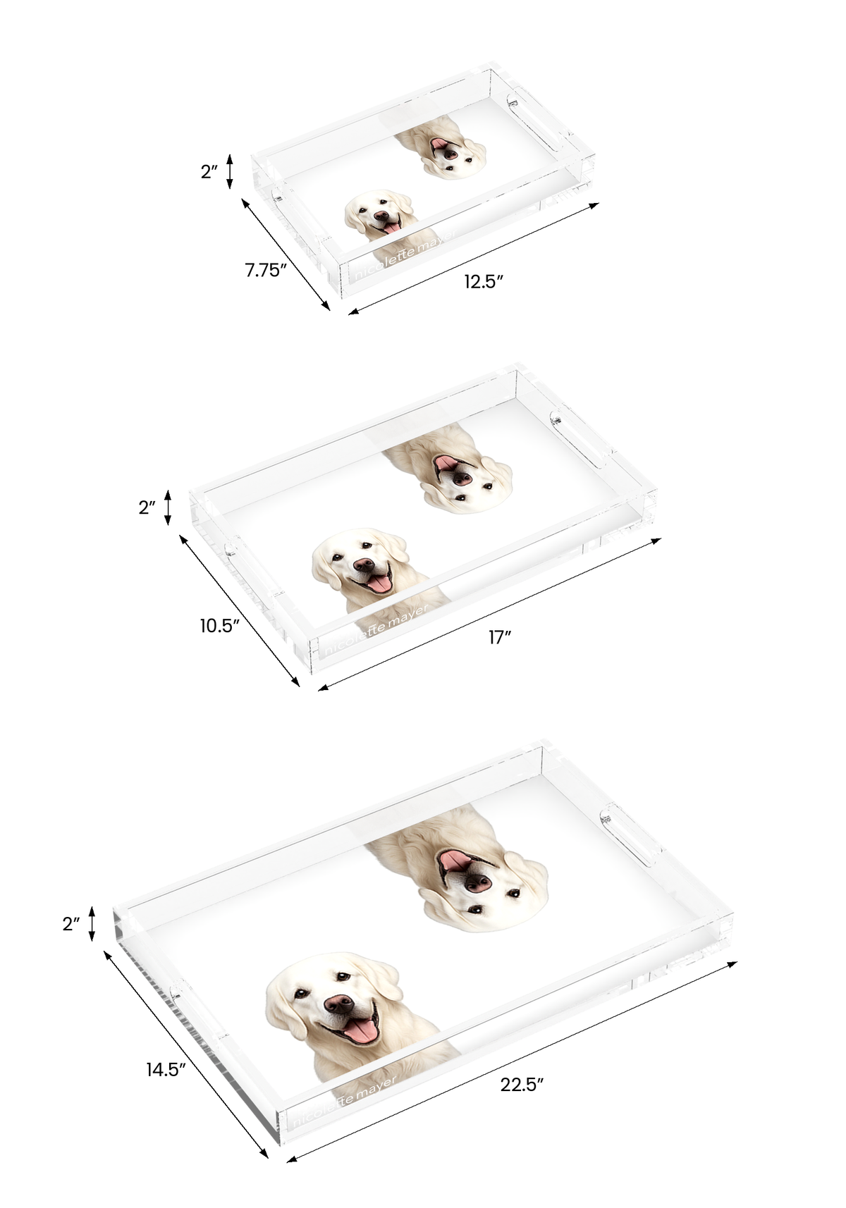 White Lab Dog Acrylic Rectangle Tray, all three sizes, by Nicolette Mayer