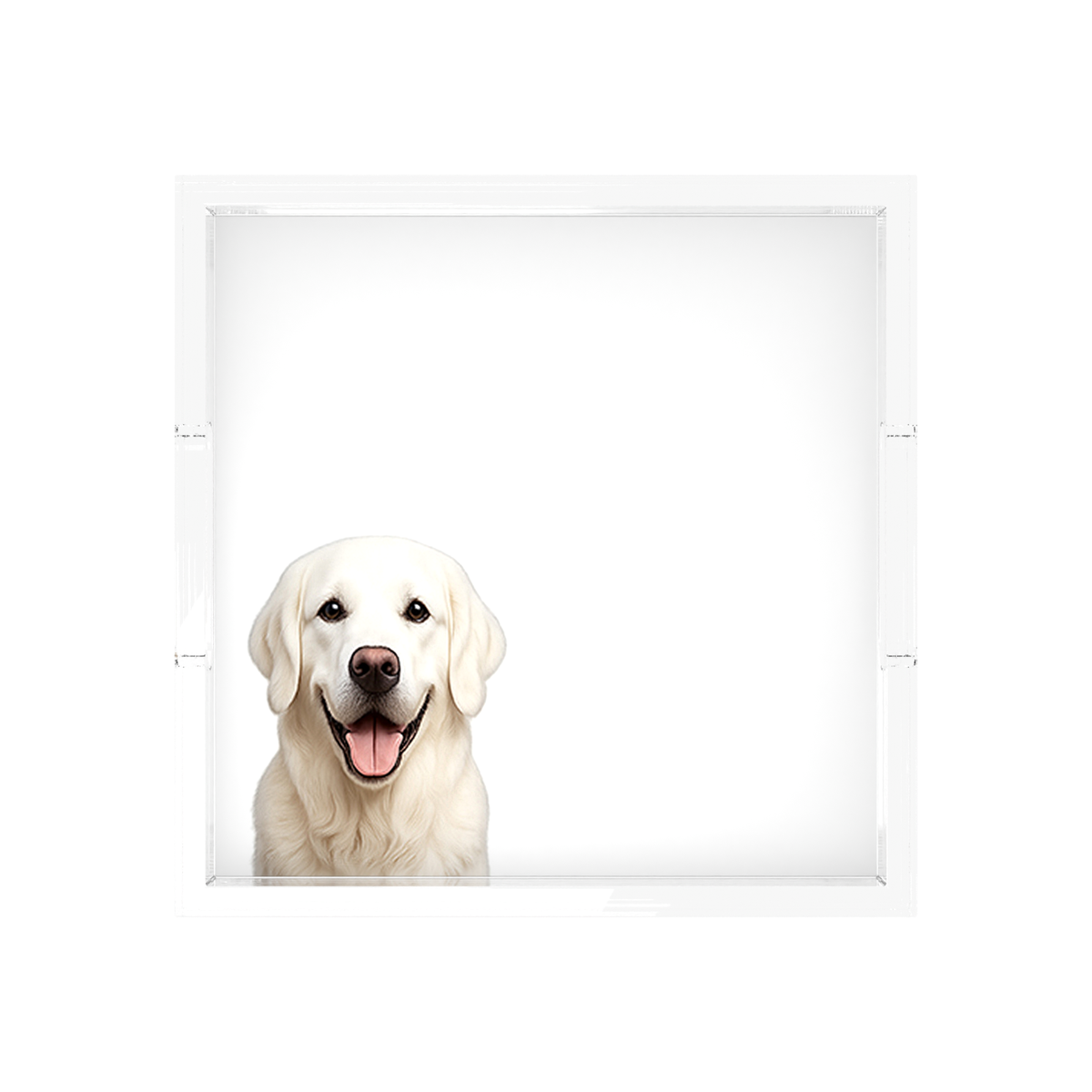 White Lab Dog Acrylic Decorative Tray, overhead, by Nicolette Mayer