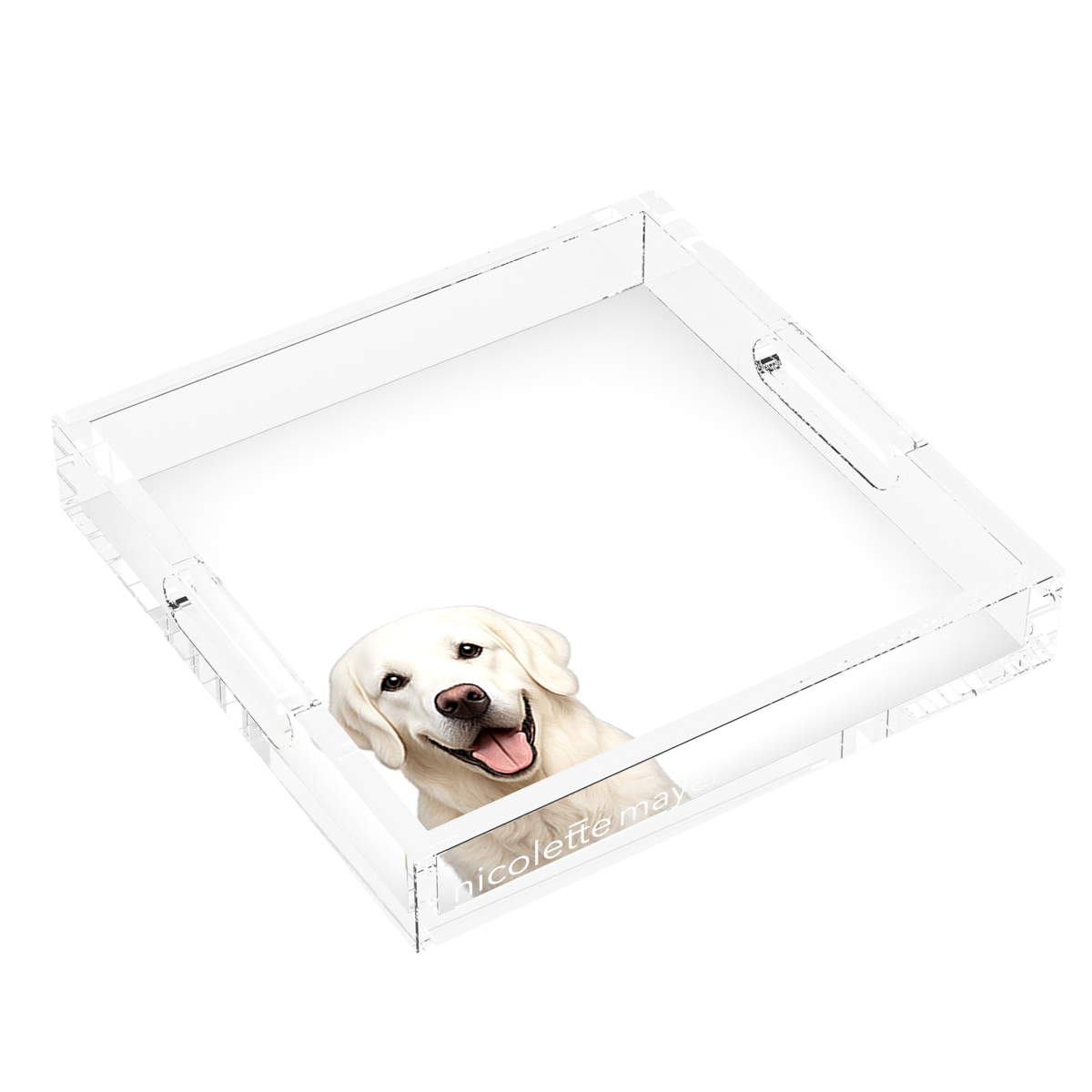 White Lab Dog Acrylic Decorative Tray, left three-quarter, by Nicolette Mayer