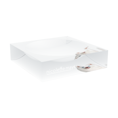 White Pomsky Dog Acrylic Candy Catchall Dish, large dish at an angle, by Nicolette Mayer