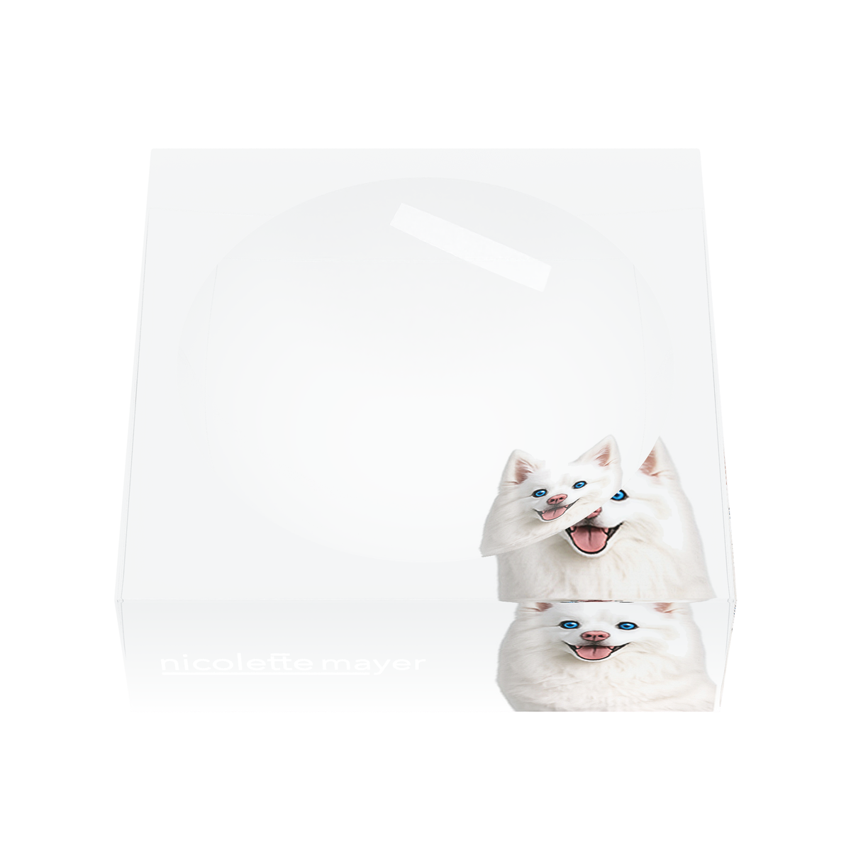 White Pomsky Dog Acrylic Candy Catchall Dish, front, by Nicolette Mayer