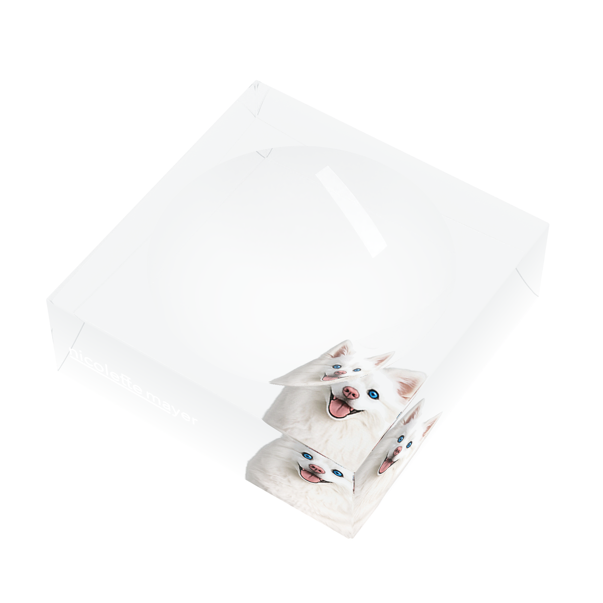 White Pomsky Dog Acrylic Candy Catchall Dish, right three-quarter, by Nicolette Mayer