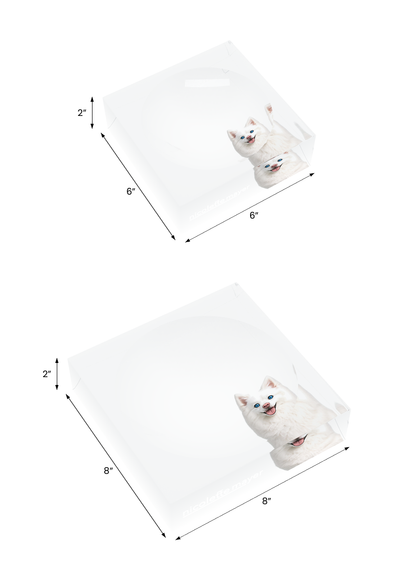 White Pomsky Dog Acrylic Candy Catchall Dish, both sizes, by Nicolette Mayer