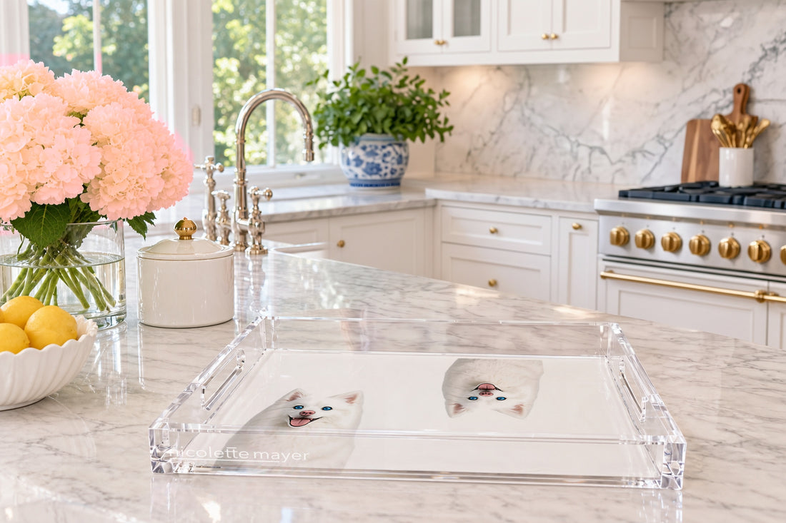 White Pomsky Dog Acrylic Rectangle Tray, on a kitchen island, by Nicolette Mayer