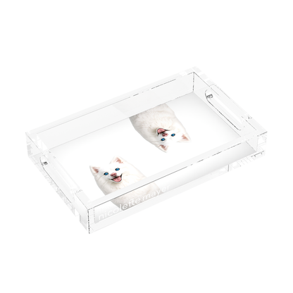 White Pomsky Dog Acrylic Rectangle Tray, left three-quarter, by Nicolette Mayer