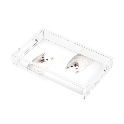 White Pomsky Dog Acrylic Rectangle Tray, right three-quarter, by Nicolette Mayer