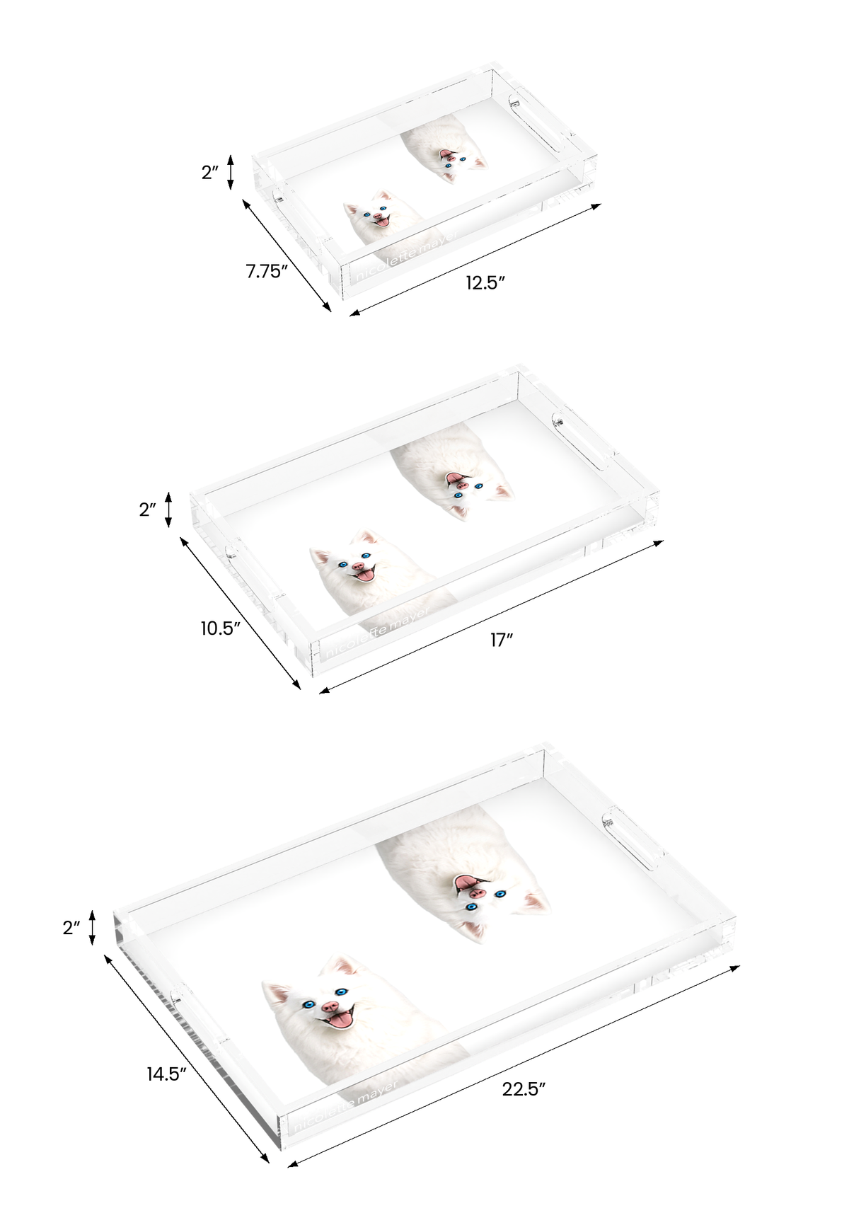 White Pomsky Dog Acrylic Rectangle Tray, all three sizes, by Nicolette Mayer