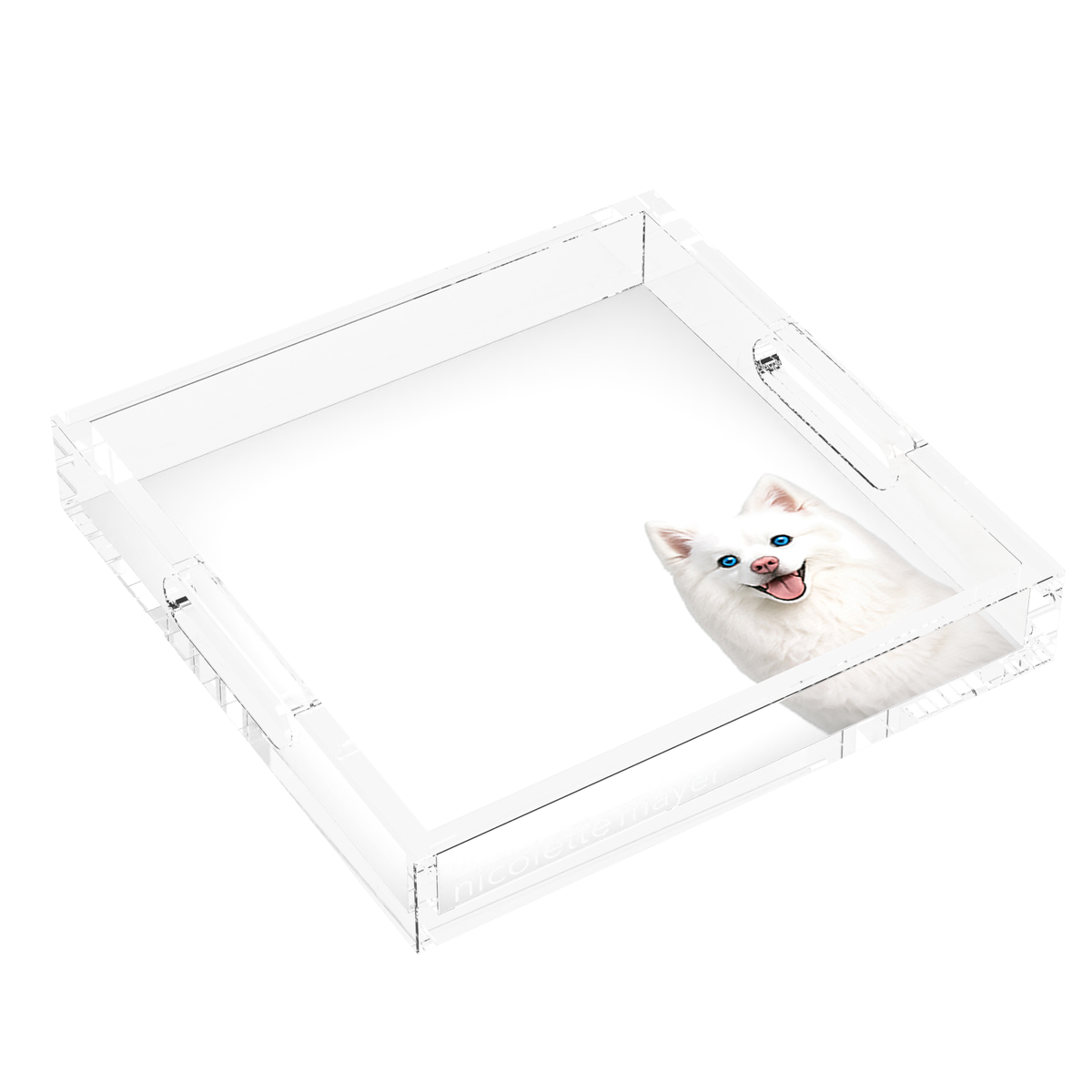 White Pomsky Dog Acrylic Decorative Tray, left three-quarter, by Nicolette Mayer