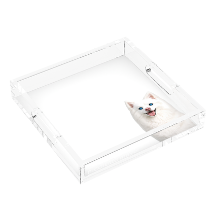 White Pomsky Dog Acrylic Decorative Tray, left three-quarter, by Nicolette Mayer