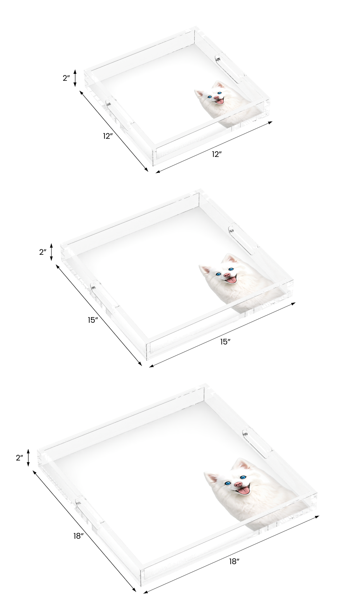 White Pomsky Dog Acrylic Decorative Tray, all three sizes, by Nicolette Mayer