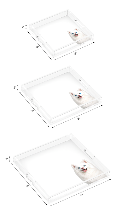 White Pomsky Dog Acrylic Decorative Tray, all three sizes, by Nicolette Mayer