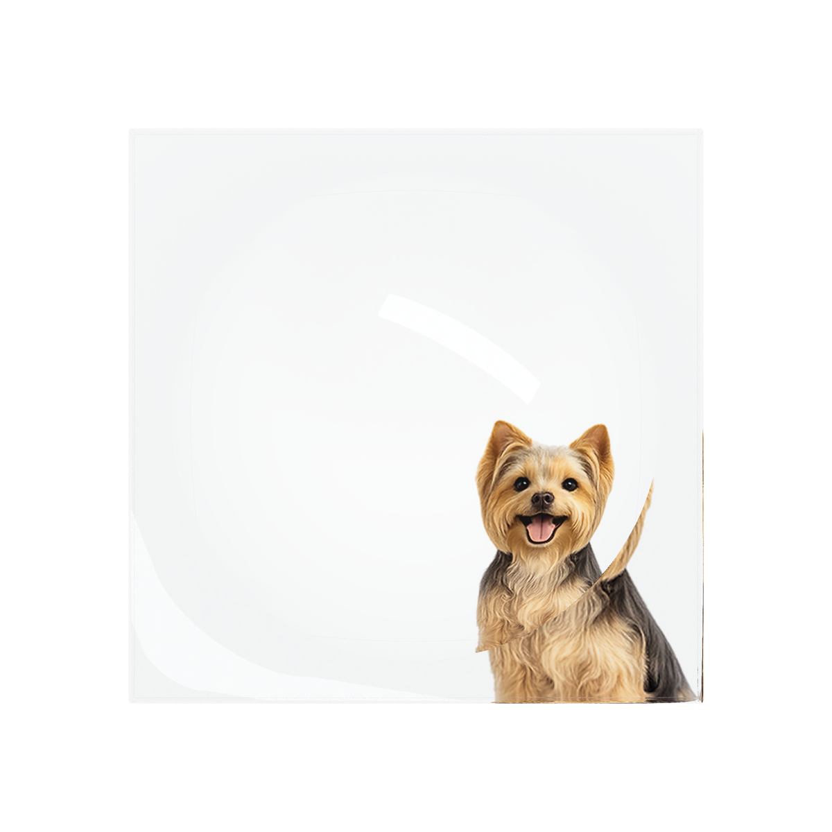 Yorkie Dog Acrylic Candy Catchall Dish, overhead, by Nicolette Mayer