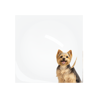 Yorkie Dog Acrylic Candy Catchall Dish, overhead, by Nicolette Mayer