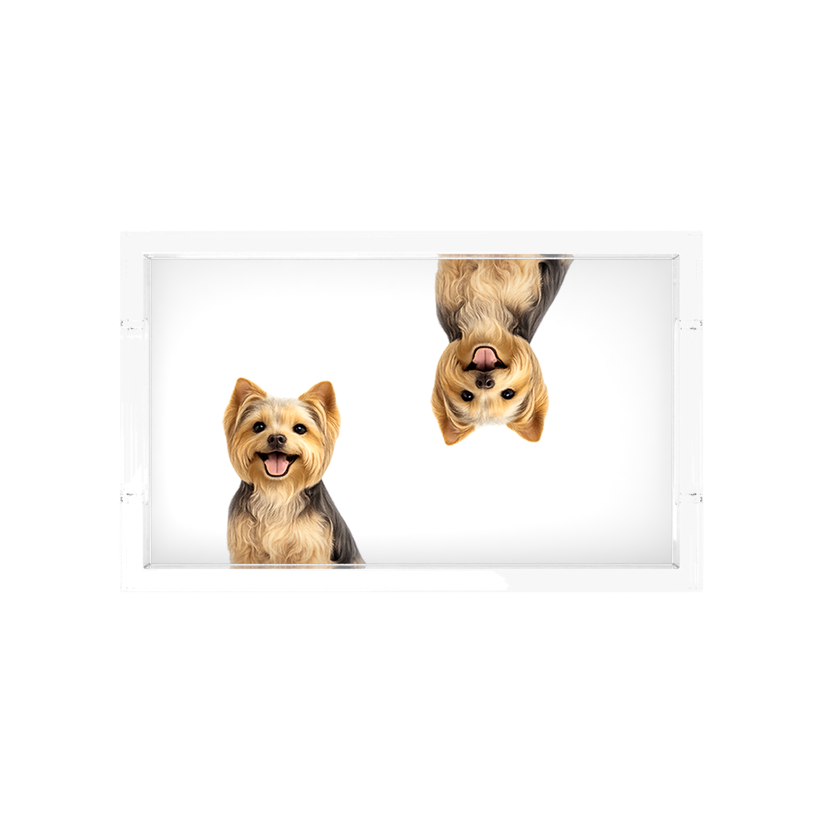 Yorkie Dog Acrylic Rectangle Tray, overhead, by Nicolette Mayer