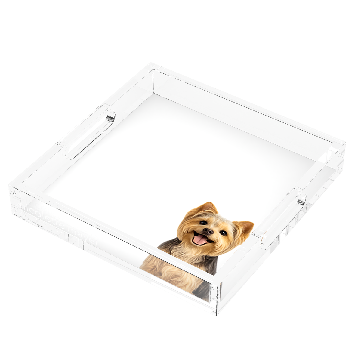Yorkie Dog Acrylic Decorative Tray, right three-quarter, by Nicolette Mayer