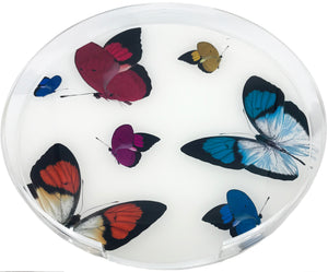 Butterflies Acrylic Placemat Tray 16 Round - nicolettemayer.com