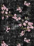 Blossom Fantasia Black Pink Fabric - nicolettemayer.com