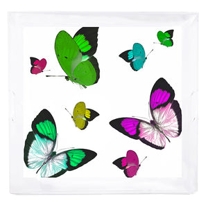 Butterflies Acid Green 18X18 Acrylic Tray - nicolettemayer.com