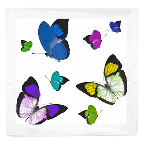 Butterflies Acid Blue 18X18 Acrylic Tray - nicolettemayer.com