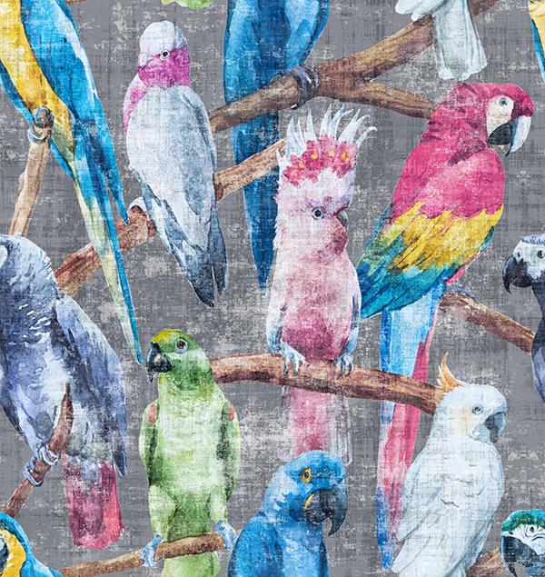 Cockatoo Fantasia Wallpaper, Per Yard - nicolettemayer.com