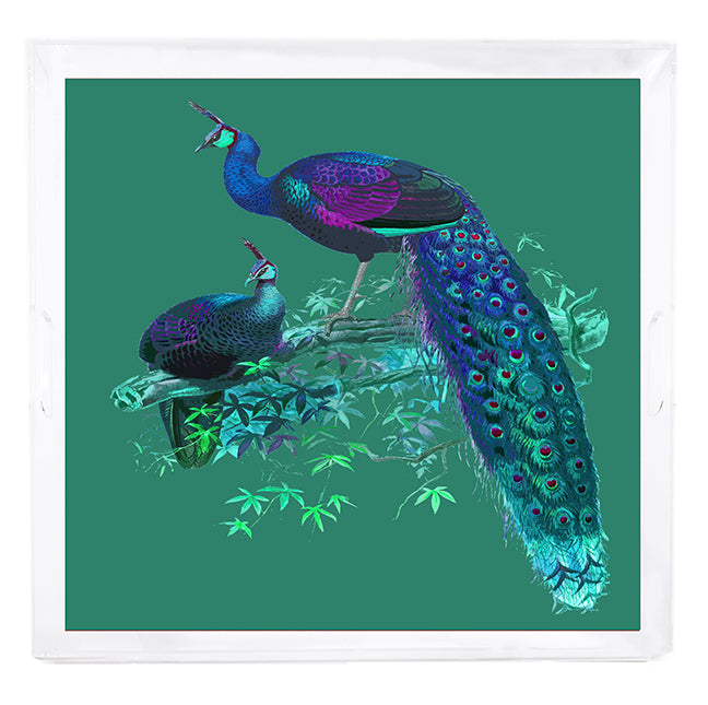 Family Pheasants Peacock 18X18 Acrylic Tray - nicolettemayer.com