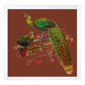 Family Pheasants Rust 18X18 Acrylic Tray - nicolettemayer.com