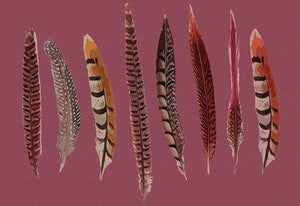 Pheasant Feathers Mauve 17.5 "x12" Rectangle Pebble Placemats, Set of 4 - nicolettemayer.com