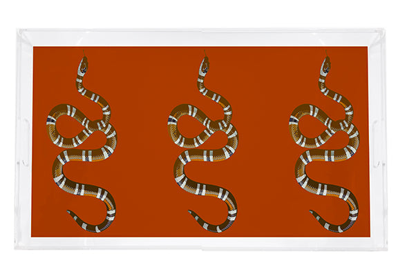 Serpent Burnt Orange 22.5X14.5 Acrylic Tray - nicolettemayer.com