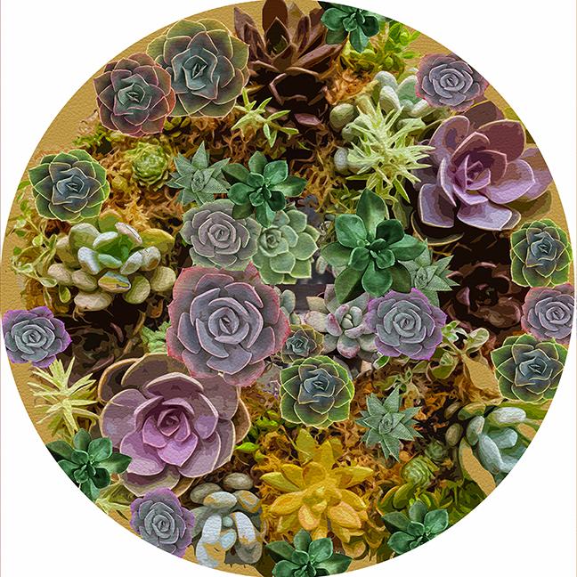 Succulents Gold 16&quot; Round Pebble Placemat Set of 4 - nicolettemayer.com