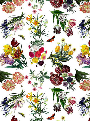 Flora & Fauna White Wallpaper - nicolettemayer.com