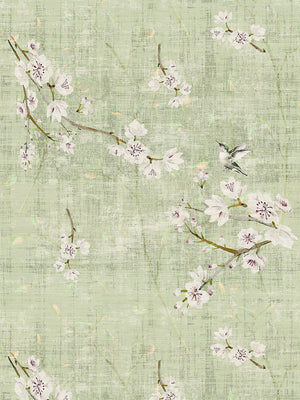 Blossom Fantasia Celadon Wallpaper, Per Yard - nicolettemayer.com